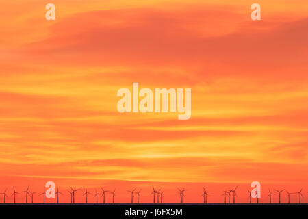 Orange alba cielo sopra il Thanet per centrali eoliche offshore con fila di turbine onon all'orizzonte. Le turbine eoliche stagliano contro il luminoso cielo arancione. Foto Stock