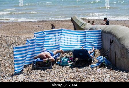 Brighton, Regno Unito. 21 Maggio, 2017. Lucertole da mare sulla spiaggia godere delle belle giornate di sole sul lungomare Hove questo pomeriggio con previsioni di domani per essere il giorno più caldo dell'anno finora Credito: Simon Dack/Alamy Live News Foto Stock