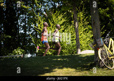 Copenhagen, Danimarca. 21 Maggio, 2017. Più di 8500 corridori provenienti da tutto il mondo hanno dovuto combattere contro le alte temperature di prendere parte nel 2017 Telenor Copenhagen Marathon. Credito: Matthew James Harrison/Alamy Live News Foto Stock