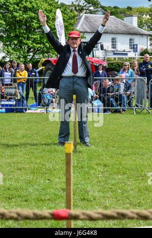 Aberaeron, West Wales, Regno Unito. 21 Maggio, 2017. Per la prima volta un rimorchiatore di guerra di compattazione di fagiolo ha tenuto in piazza archiviato in Aberaeron e il tempo era prefetto bella e soleggiata. Credito: Andrew chittock/Alamy Live News Foto Stock