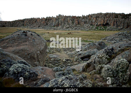 Africa, Etiopia, Dinsho, montagne di balle. Foto Stock