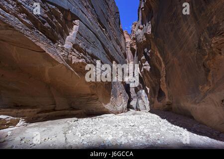 Escursionismo Daino Slot Gulch Canyon nel sud dello Utah Foto Stock