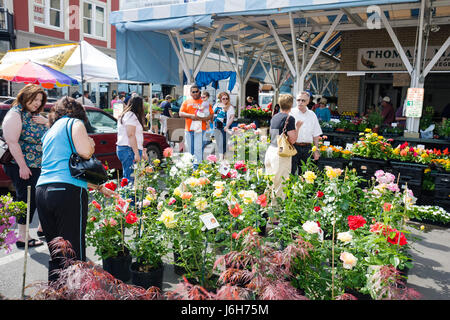 Roanoke Virginia,Market Square,Farmers' Market,piante in vendita,merchandising,packaging,marche,vivaio,vasi,piante,shopping shopper negozi Foto Stock