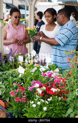 Roanoke Virginia,Market Square,Farmers' Market,piante in vendita,vivaio,vasi,piante,shopping shoppers negozio acquisto di vendita,negozi di vendita,negozi di b Foto Stock