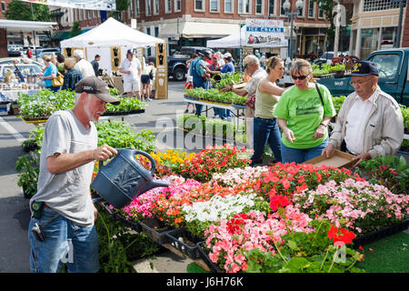 Roanoke Virginia,Market Square,Farmers' Market,piante in vendita,merchandising,packaging,marche,vivaio,vasi,piante,shopping shopper negozi Foto Stock