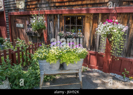 Pickity posto a Mason, New Hampshire vende piante e dispone di un fantastico ristorante Foto Stock