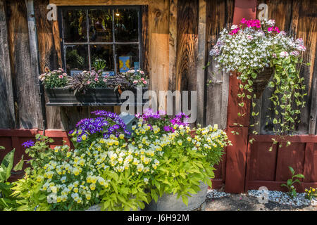 Pickity posto a Mason, New Hampshire vende piante e dispone di un fantastico ristorante Foto Stock