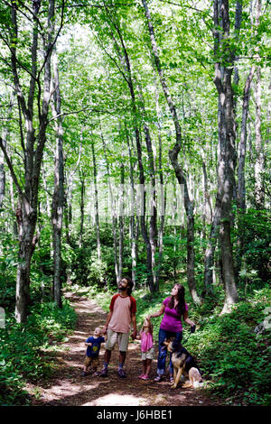 Blue Ridge Parkway Virginia, Appalachian Mountains, Rocky Knob Cabins, escursioni, sentiero, foresta, adulti uomo uomo uomini maschio, donna donna donna donna donna donna donna donna donna donna donna donna, ragazzo, ragazzo Foto Stock