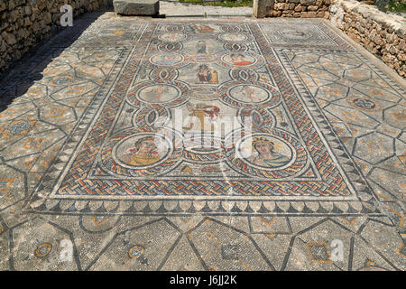 All'interno di mosaico Gordion palace,Casa di Dioniso, nell'escavazione romana di Volubilis, Marocco, Africa Foto Stock