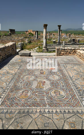 All'interno di mosaico Gordion palace, casa di Dioniso, nell'escavazione romana di Volubilis, Marocco, Africa Foto Stock