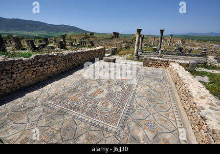 All'interno di mosaico Gordion palace, casa di Dioniso, nell'escavazione romana di Volubilis, Marocco, Africa Foto Stock