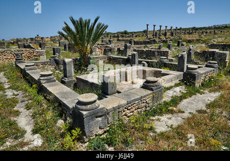 Bagno nella villa romana di escavazione romana di Volubilis, Marocco, Africa Foto Stock