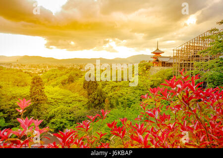 Tempio Kiyomizudera vista aerea Foto Stock