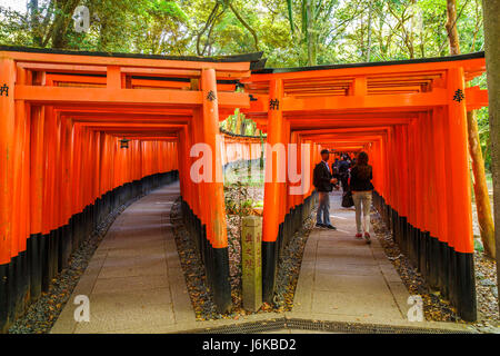 Senbon Torii Fushimi Inari Foto Stock