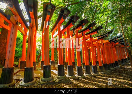 Torii gates in Kyoto Foto Stock