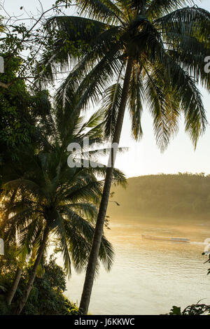 Barca sul fiume Mekong, Luang Prabang, Laos Foto Stock