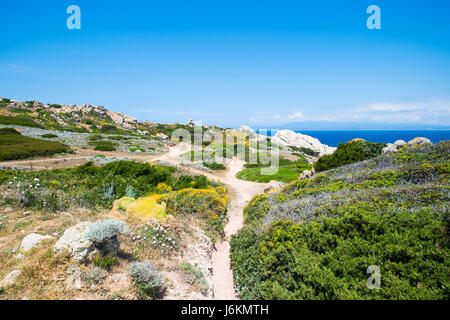 Piccolo percorso verso la spiaggia circondata da bellissimi fiori colorati. Foto Stock