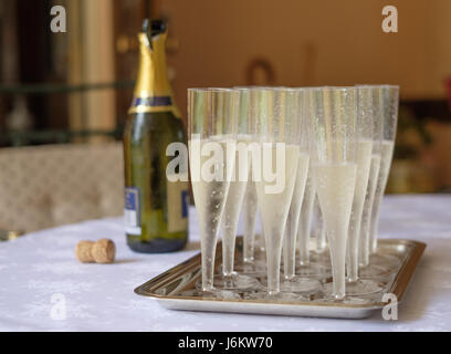 Flauti champagne su un vassoio pronto per essere servito