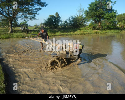Questa fotografia raffigura una scena rurale a Balucuc, Apalit, Pampanga, Filippine, mostrando agli agricoltori che arano risaie, sistemi di irrigazione e uccelli volanti vicino alle strade. Cattura la vita agricola e le infrastrutture rurali della regione. Foto Stock