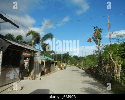 0601 risaie Silang Bagong Ilog-Bulo San Miguel Bulacan Farm Market Road 14 Foto Stock