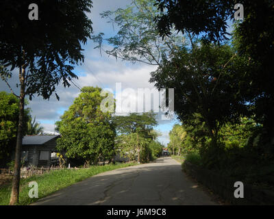 0601 risaie Silang Bagong Ilog-Bulo San Miguel Bulacan Farm Market Road 18 Foto Stock