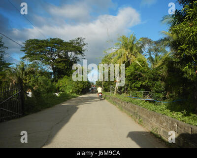 0601 risaie Silang Bagong Ilog-Bulo San Miguel Bulacan Farm Market Road 20 Foto Stock