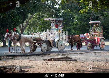 Cavalli e carrozze allineate vicino al Victoria Memorial il Maidan, Kolkata - Calcutta - West Bengal, India Foto Stock
