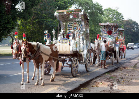 Cavalli e carrozze allineate vicino al Victoria Memorial il Maidan, Kolkata - Calcutta - West Bengal, India Foto Stock