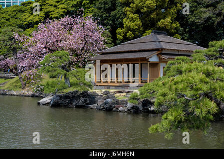 Swallow teahouse o Tsubame no Ochaya, Hama Rikyu giardini giapponesi. Foto Stock