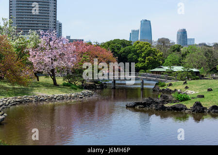Hama Rikyu giardini giapponesi Tokyo. Foto Stock