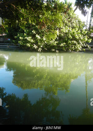 09261 risaie irrigazione Ravenala Bagong Nayon Baliuag Bulacan ponti stradali 01 Foto Stock