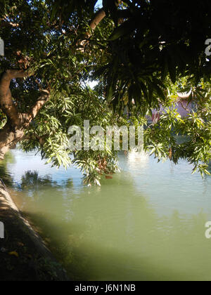 09261 risaie irrigazione Ravenala Bagong Nayon Baliuag Bulacan ponti stradali 14 Foto Stock