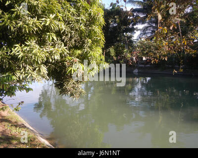 09261 risaie irrigazione Ravenala Bagong Nayon Baliuag Bulacan ponti stradali 25 Foto Stock