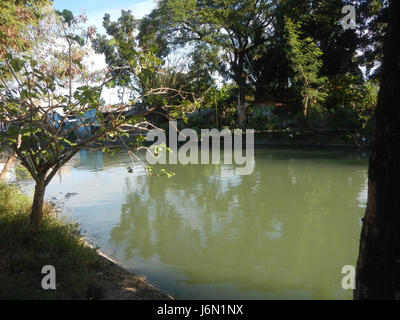 09261 risaie irrigazione Ravenala Bagong Nayon Baliuag Bulacan ponti stradali 26 Foto Stock