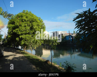 09261 risaie irrigazione Ravenala Bagong Nayon Baliuag Bulacan ponti stradali 31 Foto Stock