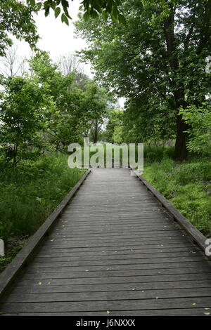 Passeggiata attraverso l'area di zone umide Foto Stock