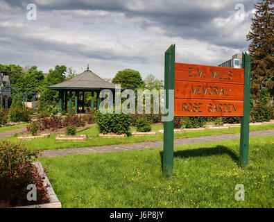 E. M. Mills Memorial Rose Garden segno Foto Stock