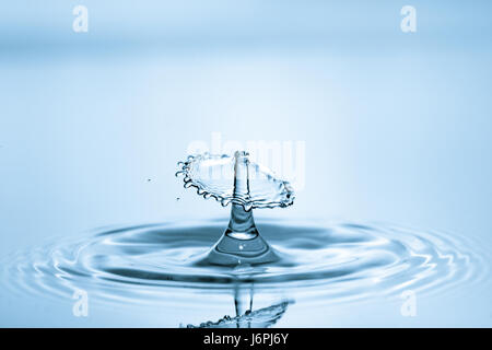 Acqua caduta di corona e splash su sfondo blu Foto Stock