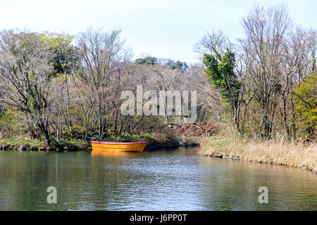 Ecoland parco a tema a Jeju Island, Corea del Sud Foto Stock