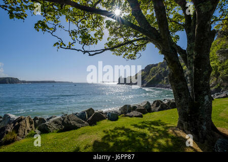 LYDSTEP HAVEN Il Pembrokeshire Coast Foto Stock