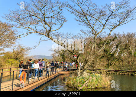Ecoland parco a tema a Jeju Island, Corea del Sud Foto Stock