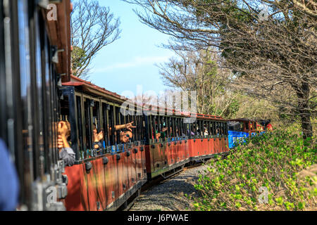 Ecoland parco a tema a Jeju Island, Corea del Sud Foto Stock