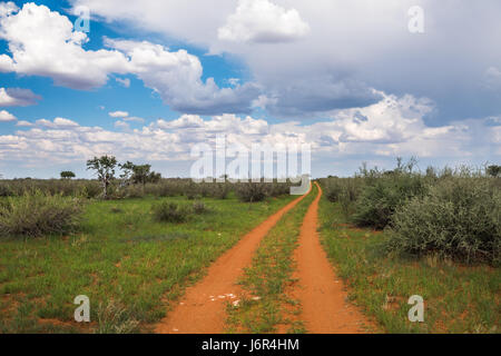 Strada sporca nel deserto Kalahari Foto Stock