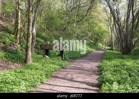 La South Tyne Trail pista ciclabile vicino Lambley lungo il disuso ramo Alston del Newcastle Carlisle railway, Northumberland, England, Regno Unito Foto Stock