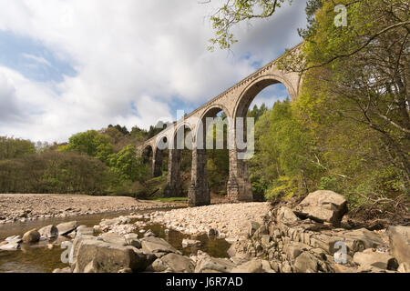 Lambley viaduct un ex ponte ferroviario sul fiume Tyne Sud, Northumberland, England, Regno Unito Foto Stock