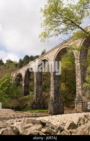 Lambley viaduct un ex ponte ferroviario sul fiume Tyne Sud, Northumberland, England, Regno Unito Foto Stock