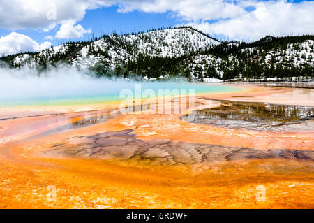 Grand Prismatic Spring, il Parco Nazionale di Yellowstone, Wyoming Foto Stock