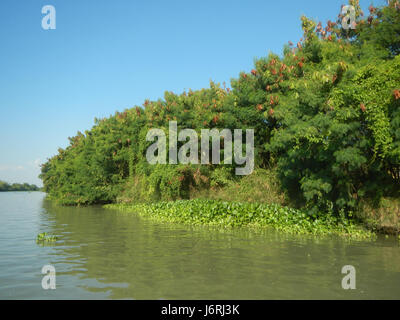 09875 Meyto, Santa Lucia, Bulusan Frances Calumpit, Bulacan 02 Foto Stock