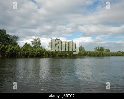 Il Malolos Bulakan River District, che comprende le rive del fiume Panasahan e San Nicolas, è noto per i suoi paesaggi lussureggianti e le risorse idriche vitali. La regione svolge un ruolo cruciale nell'agricoltura e nell'economia di Bulacan, nelle Filippine. Foto Stock