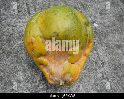 08266 Santa Cruz, Guiguinto, Bulacan 04 Foto Stock